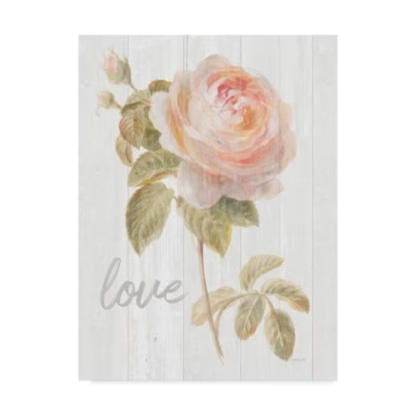 Danhui Nai 'Garden Rose On Wood Love' Canvas Art, 35x47, Trademark Fine Art, Mfr#: WAP06617-C3547GG